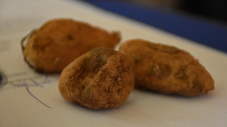  Batman'da salep soğanı toplayan 5 kişiye 400 bin lira ceza