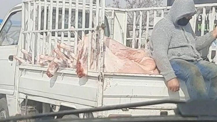  Kilolarca et kamyonetle taşındı