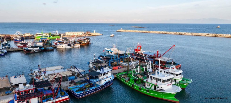 Adana'da balık ev sezonu açıldı