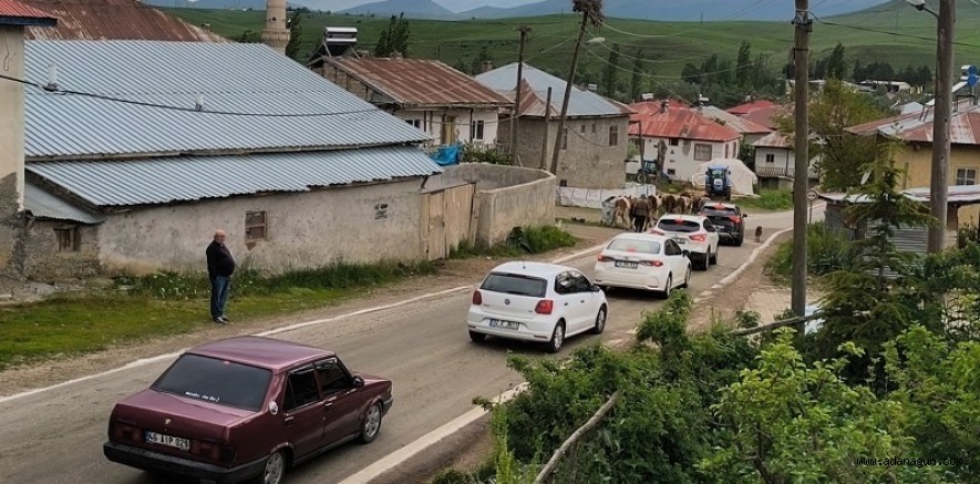  Adana'nın Pınarlar Mahallesi'nde Her Akşam Aynı Çile Yaşanıyor