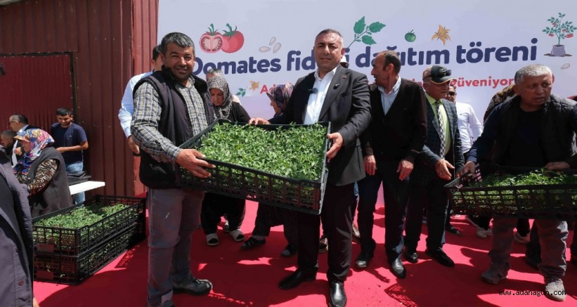 Aladağ’da 400 bin, Tufanbeyli ve Feke’de 100’er bin domates fidesi üreticiyle buluşturuldu