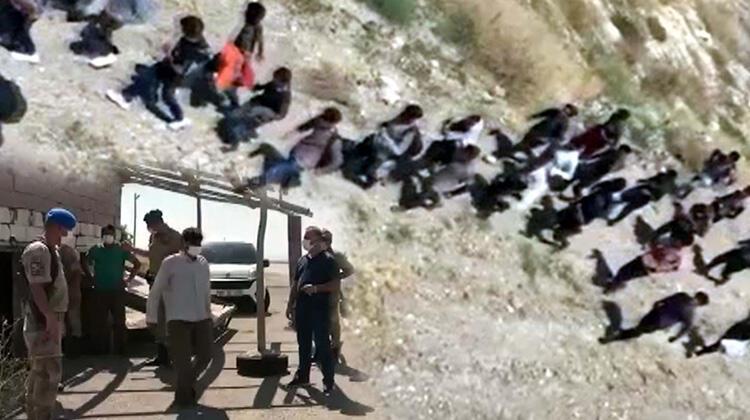 Arazide topluca ilerleyen 113 kaçak göçmen yakalandı