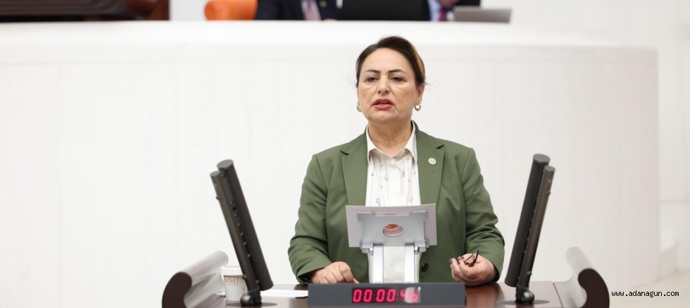 CHP’li Dr. Şevkin’den engelliler ve aileleri için kritik önergeler