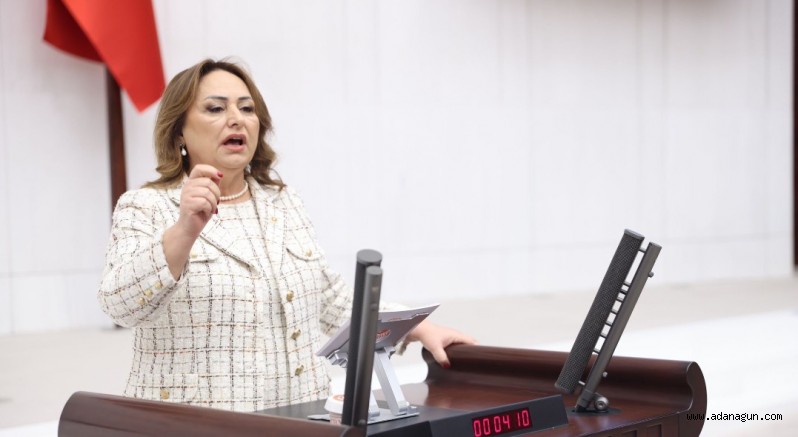 CHP’li Dr. Şevkin’den paylı mülkiyet sorununa araştırma çağrısı