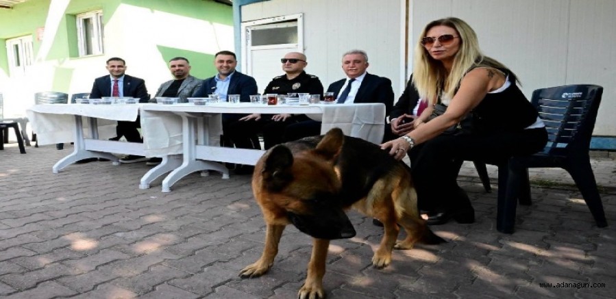 ÇUKUROVA’DA DÜNYA HAYVANLARI KORUMA GÜNÜ’NDE ANLAMLI BULUŞMA