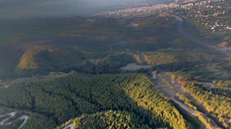 Dörtyol'daki orman yangınında 15 hektar alan zarar gördü!