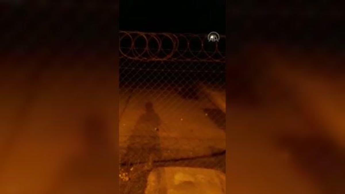 Güvenlik görevlisi, yiyecek arayan ayı yavrusunu besledi