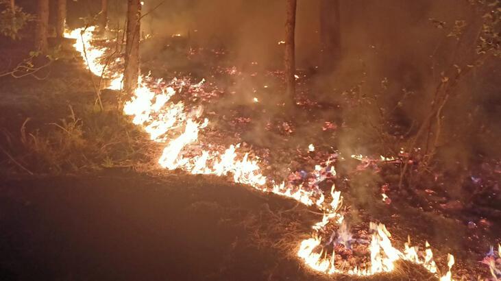 Kahramanmaraş'ta 3 hektar orman alanı yandı
