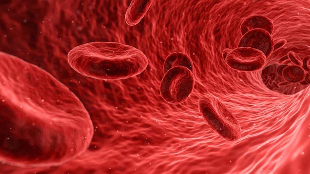 Kan grubu AB olanlar dikkat! Hastalıklara karşı daha dirençsiz durdukları tespit edildi - Haberler