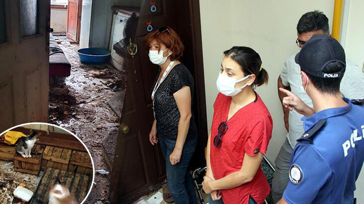 Koku şikayeti yapılan eve savcılık kararıyla girip, 50 kediyi vinçle çıkardılar