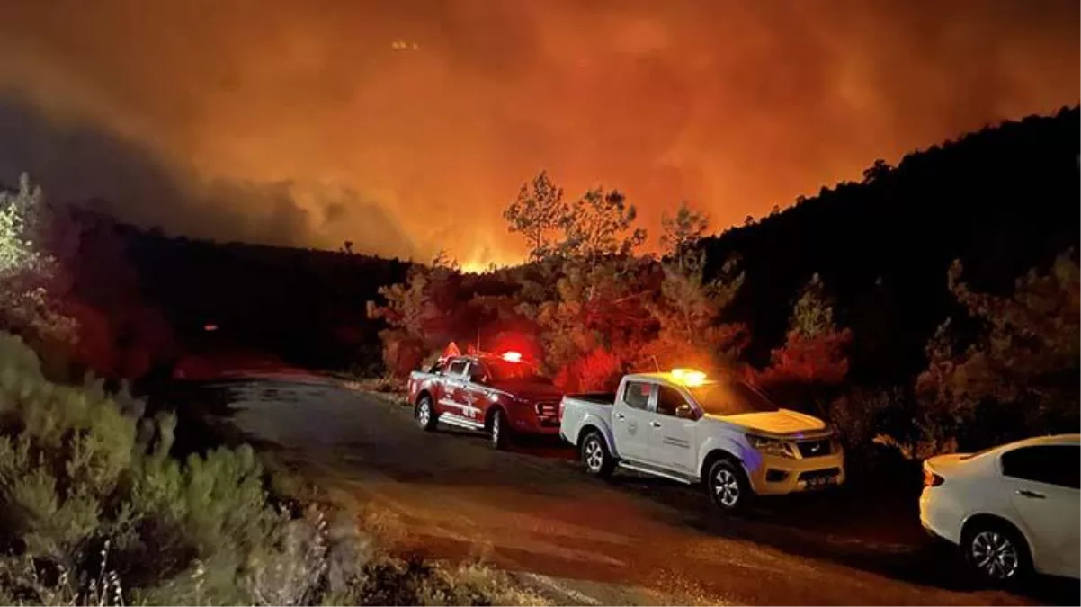 Marmaris'teki orman yangınının çıkış sebebiyle ilgili sabotaj ihtimali üzerinde duruluyor