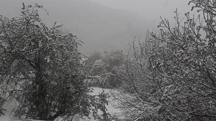 Mayıs ayının son haftası! Vatandaşlar şoke oldu: Her yer beyaza büründü