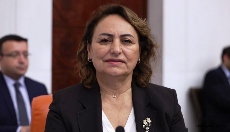 Müzeyyen Şevkin: Afetlerin yarası hâlâ sarılmadı 