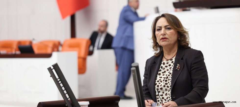 Müzeyyen Şevkin: Çukurova çiftçisi üretimden kopma noktasında