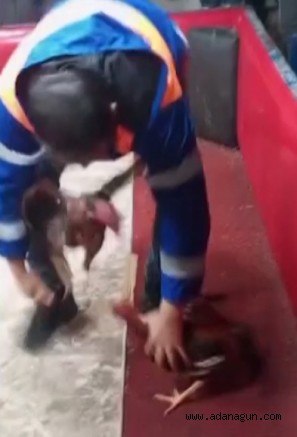 Polis temizlik görevlisi kılığına girip suç üstü yaptı 