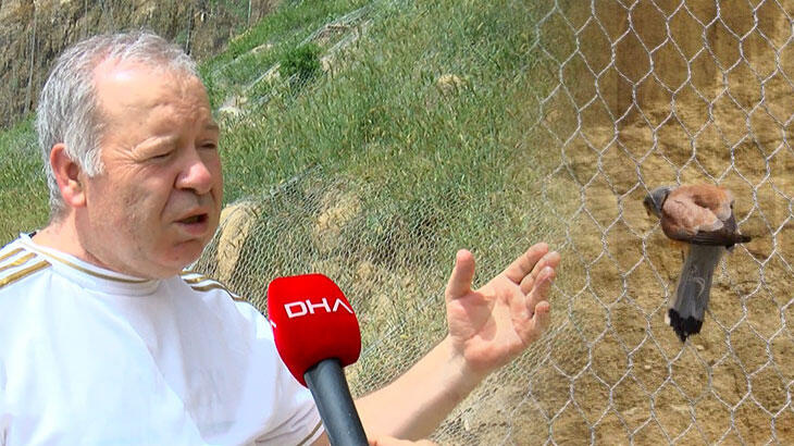 Silivri'de kuşları öldüren 'çelik ağ'