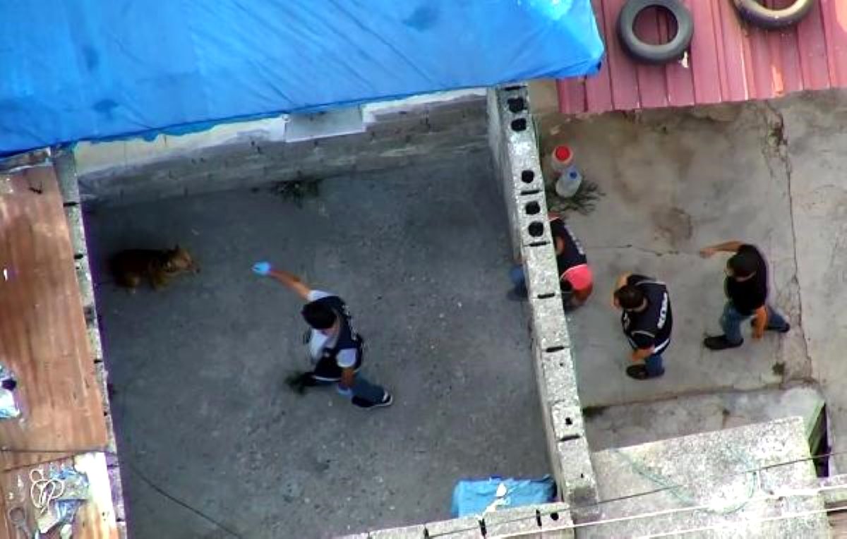 Suç örgütü operasyonunda polise köpek saldırdı