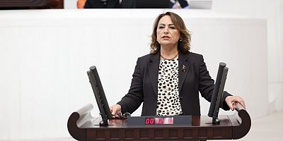 386 bin ruhsatla doğa ve tarım yağma altında