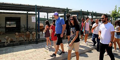 Adana Büyükşehir Belediyesi Sokak Hayvanları Bakımevi’nin Avrupalı misafirleri 
