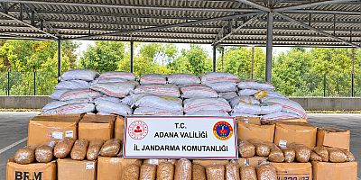 Adana'da tütün operasyonu
