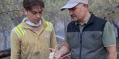 Adana'da yangından kaçamayan bazı hayvanlar telef oldu