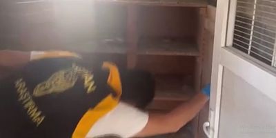 Adana'da kuş dolabından Kalaşnikof çıktı