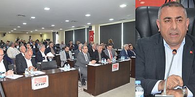Adana Meclisi’nde sinek tartışması: 12 ay mücadele sürüyor