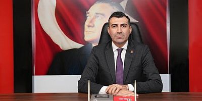 Anıl Tanburoğlu, sokak hayvanlarının uyutulmasını içeren tasarıya 'hayır' dedi