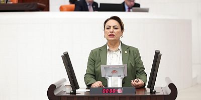 CHP’li Dr. Şevkin’den engelliler ve aileleri için kritik önergeler