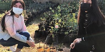 Çukurova Üniversiteli Öğrenciler Doğaya Zarar Vermeyen Organik Viyoller Yetiştirdi