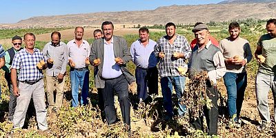 Gürer: “Bakan, ‘Patateste fazlamız var’ diyor ama  Mısır’dan patates ithal ediyoruz”