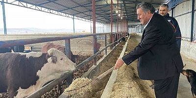 Gürer:  Et ve sütte tehlike çanları çalıyor 