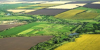 Hazine arazisi vurgunun altından belediye başkanının eşi ve bir sendika başkanı çıktı