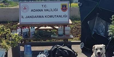 Jandarma 7 yıldır aranan şahsı operasyonla yakaladı