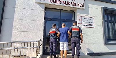 Jandarmadan aranan şahıs operasyonları