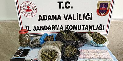 Jandarmadan uyuşturucu operasyonu 