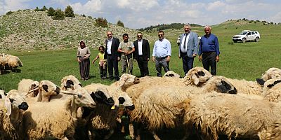 MERA ISLAHI ÜRETİCİ VE HAYVANLARI MUTLU ETTİ