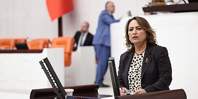 Müzeyyen Şevkin: Çukurova çiftçisi üretimden kopma noktasında