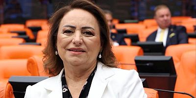 Müzeyyen Şevkin: Gıda güvenliği güvence altına alınmalıdır 