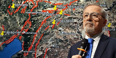Naci görür