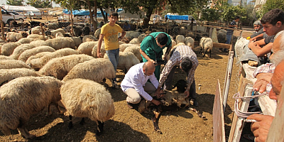 Kurban Bayramı