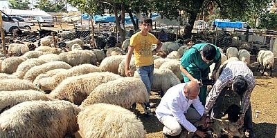 SEYHAN'DA KURBAN SATIŞ YERLERİ BELLİ OLDU