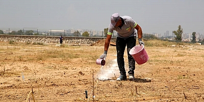 kurban