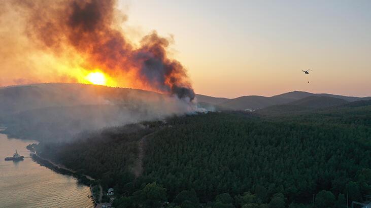 Yangınlarla ilgili son dakika gelişmesi! Özel ekip kuruldu