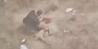 Adana'da vahşet, köpeğin boğazını kesti